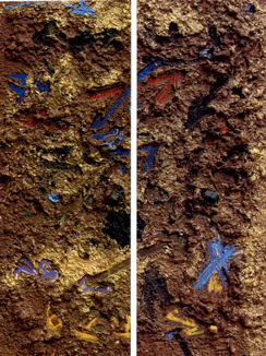 Image description