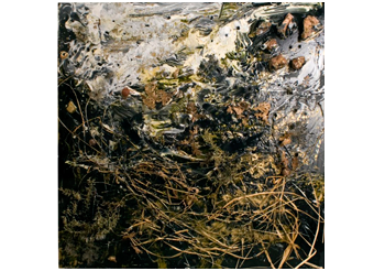 Image description