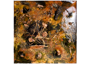 Image description